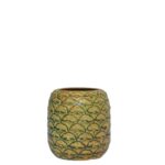 Κούπα ανανάς 52cl, πράσινο-καφέ